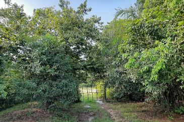 8 acres vacant agriculture land at Tmn Raia Savanna, Batu Gajah Perak 