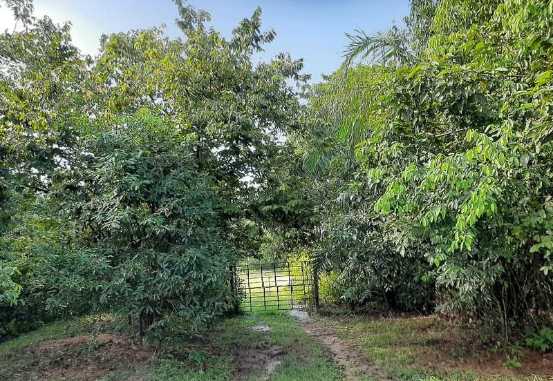 8 acres vacant agriculture land at Tmn Raia Savanna, Batu Gajah Perak 