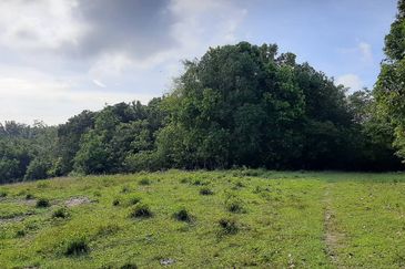 8 acres vacant agriculture land at Tmn Raia Savanna, Batu Gajah Perak 