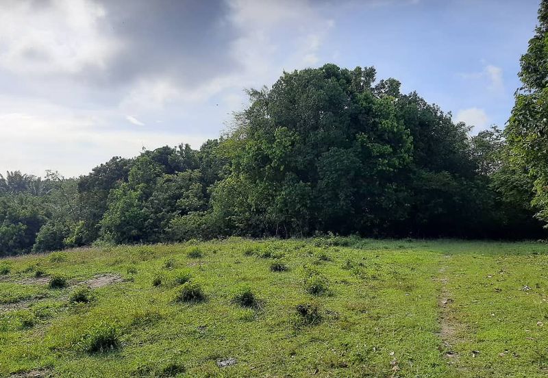 8 acres vacant agriculture land at Tmn Raia Savanna, Batu Gajah Perak 