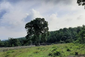 8 acres vacant agriculture land at Tmn Raia Savanna, Batu Gajah Perak 