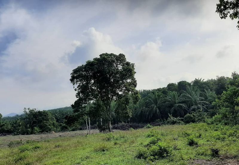 8 acres vacant agriculture land at Tmn Raia Savanna, Batu Gajah Perak 