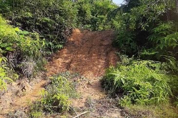 8 acres vacant agriculture land at Tmn Raia Savanna, Batu Gajah Perak 