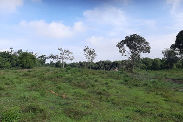 8 acres vacant agriculture land at Tmn Raia Savanna, Batu Gajah Perak 