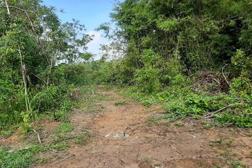 8 acres vacant agriculture land at Tmn Raia Savanna, Batu Gajah Perak 