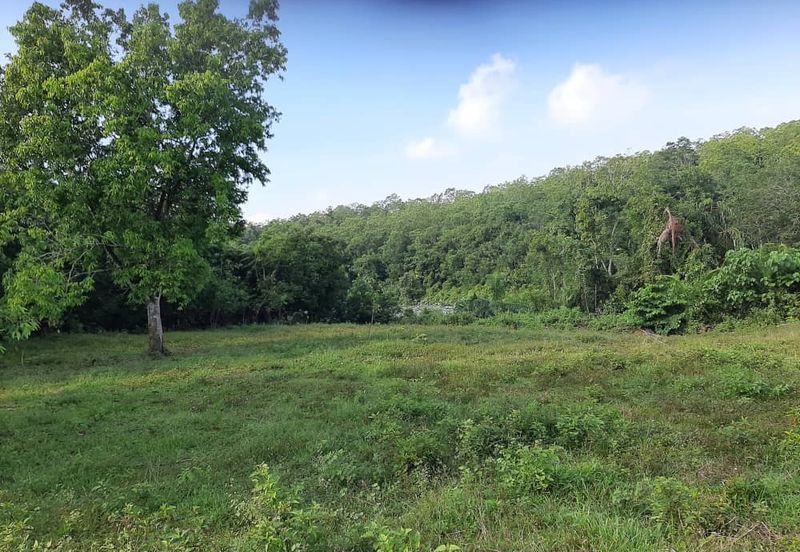 8 acres vacant agriculture land at Tmn Raia Savanna, Batu Gajah Perak 