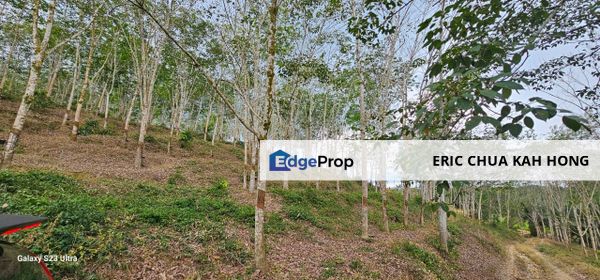 4.694 acres Rubber Estate at Slim River, Perak, Perak, Slim River