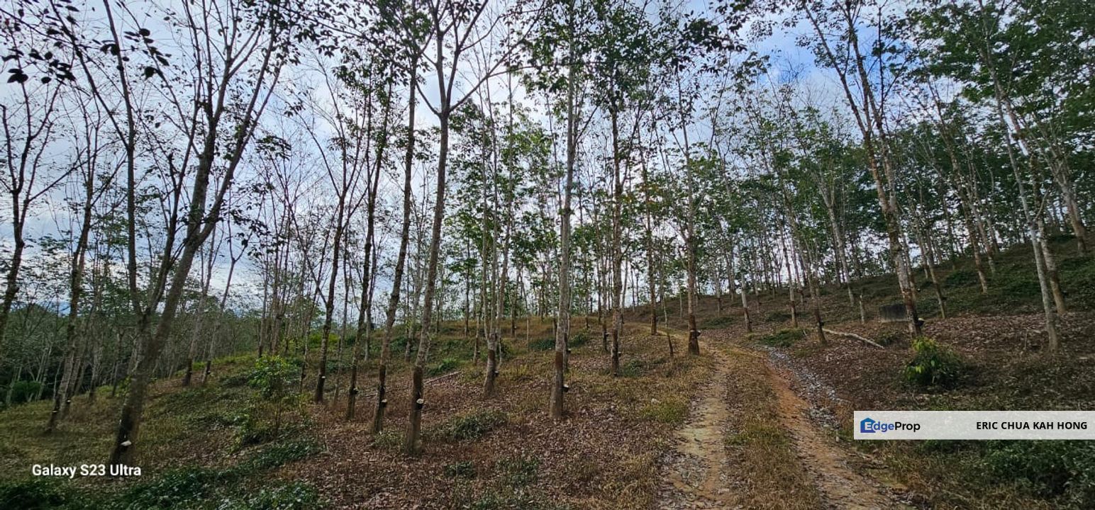4.694 acres Rubber Estate at Slim River, Perak, Perak, Slim River