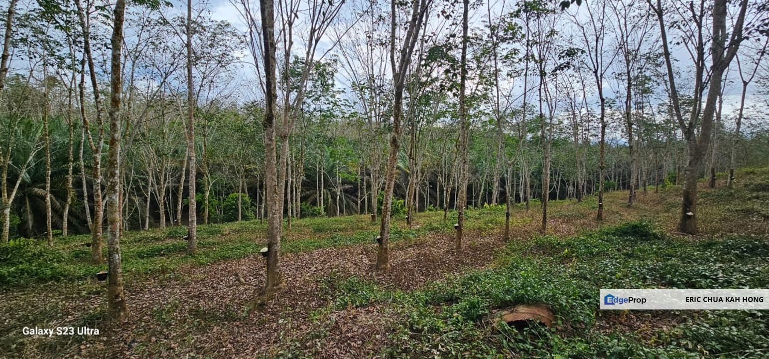 4.694 acres Rubber Estate at Slim River, Perak, Perak, Slim River