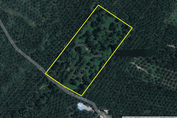 5.2 acres Durian Farm at Bidor, Perak
