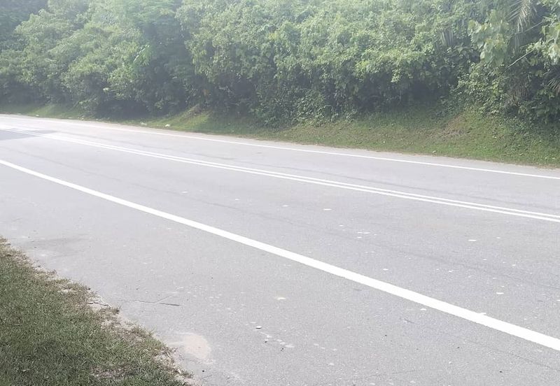 7.27 acres First Lot Palm oil Land at Lawan Kuda, Gopeng Perak