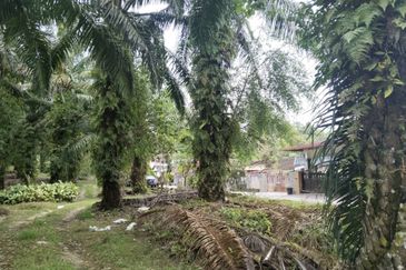 3.162445 acres Palm oil Land at Tapah, Perak