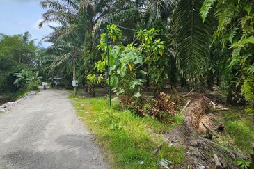 3.162445 acres Palm oil Land at Tapah, Perak