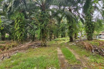 3.162445 acres Palm oil Land at Tapah, Perak