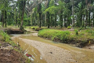 13.52383 acres Palm oil Land at Tapah, Perak