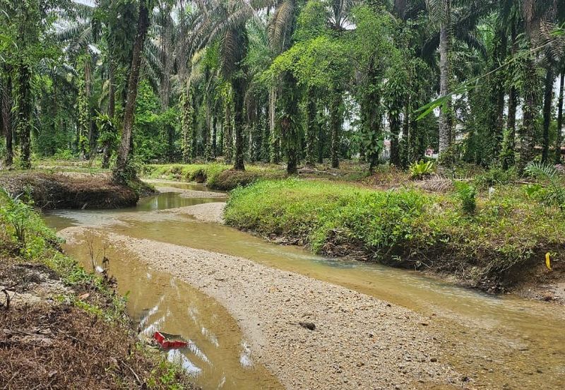 13.52383 acres Palm oil Land at Tapah, Perak