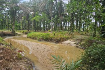 13.52383 acres Palm oil Land at Tapah, Perak