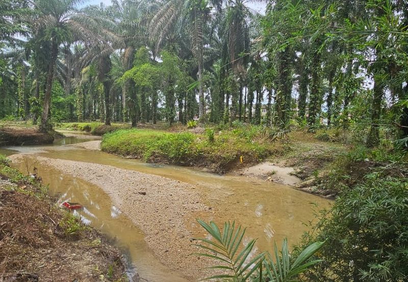 13.52383 acres Palm oil Land at Tapah, Perak