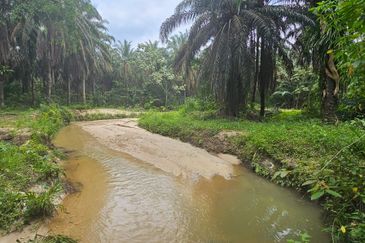 13.52383 acres Palm oil Land at Tapah, Perak