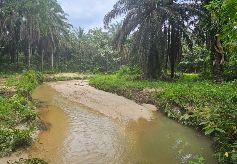 13.52383 acres Palm oil Land at Tapah, Perak
