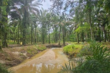 13.52383 acres Palm oil Land at Tapah, Perak