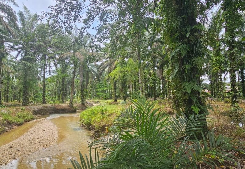 13.52383 acres Palm oil Land at Tapah, Perak