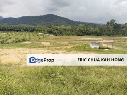 7.7 acres First Lot Vacant land at Tapah, Perak, Perak, Tapah