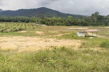 7.7 acres First Lot Vacant land at Tapah, Perak