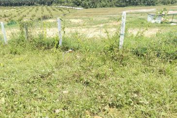 7.7 acres First Lot Vacant land at Tapah, Perak