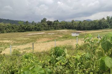 7.7 acres First Lot Vacant land at Tapah, Perak