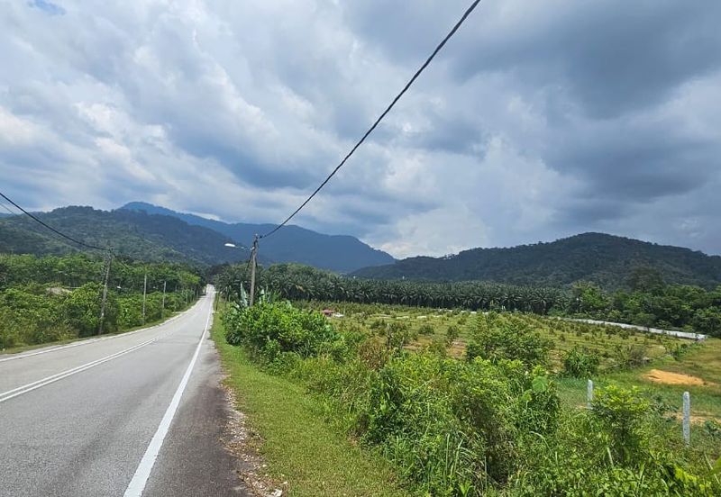 7.7 acres First Lot Vacant land at Tapah, Perak