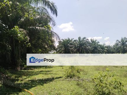 4 acres Vacant agri land at Gopeng, Perak, Perak, Gopeng
