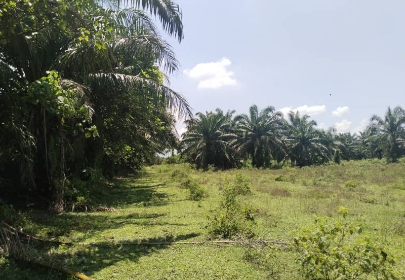 4 acres Vacant agri land at Gopeng, Perak
