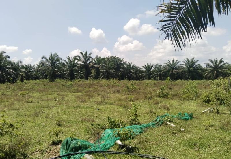 4 acres Vacant agri land at Gopeng, Perak