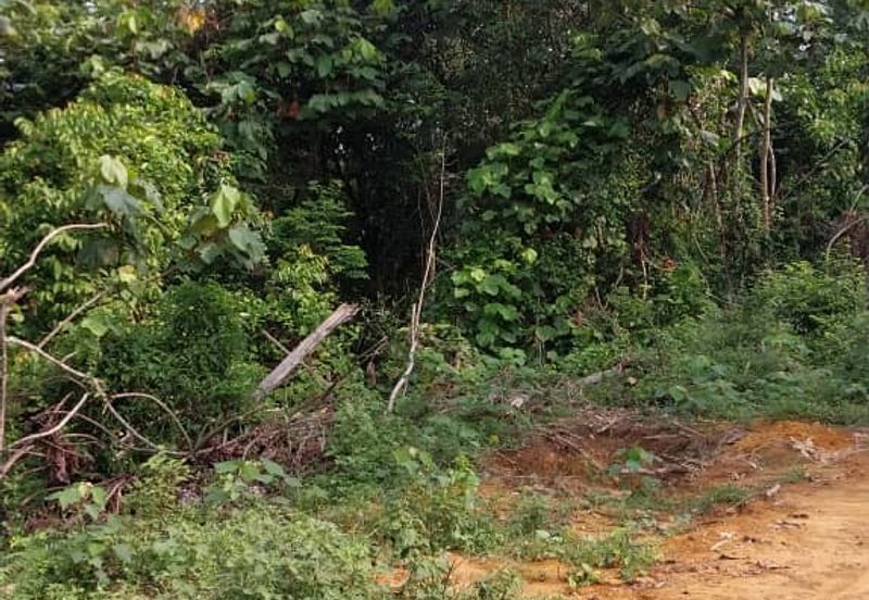 6.005896 acres abandoned land at Tg Tualang ,Perak