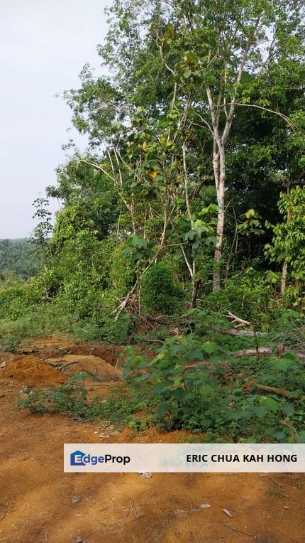 6.005896 acres abandoned land at Tg Tualang ,Perak, Perak, Tanjong Tualang