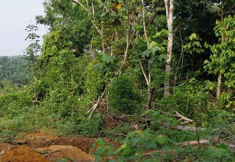 6.005896 acres abandoned land at Tg Tualang ,Perak