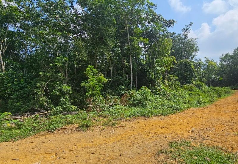 6.005896 acres abandoned land at Tg Tualang ,Perak