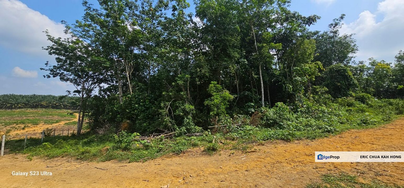 6.005896 acres abandoned land at Tg Tualang ,Perak, Perak, Tanjong Tualang