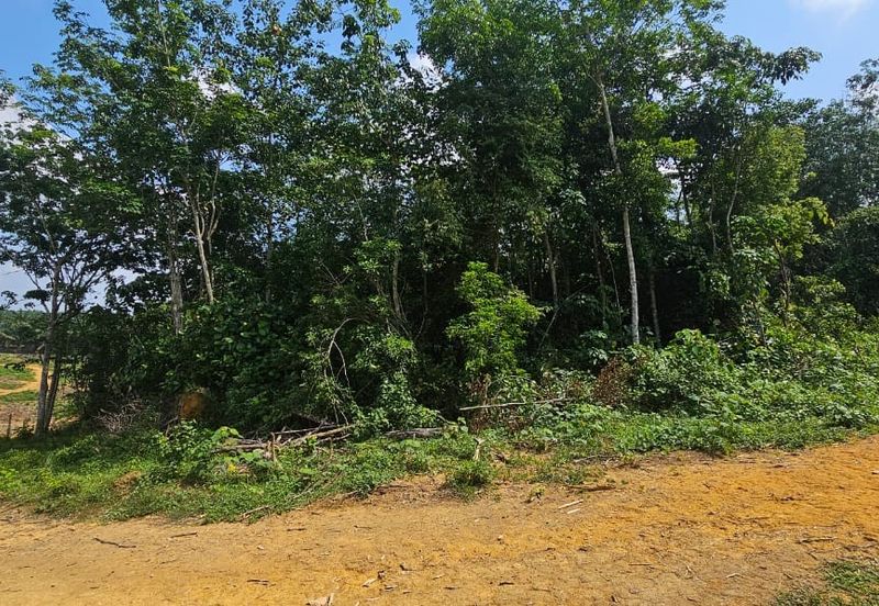 6.005896 acres abandoned land at Tg Tualang ,Perak