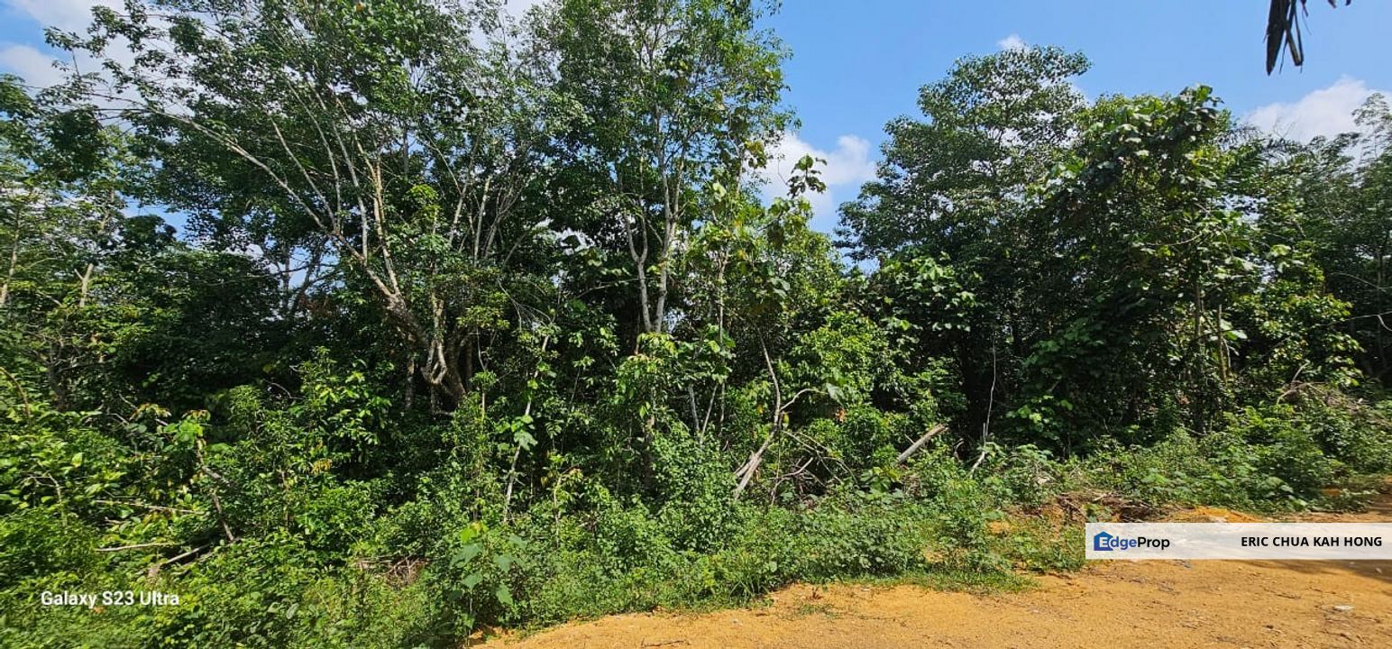 6.005896 acres abandoned land at Tg Tualang ,Perak, Perak, Tanjong Tualang