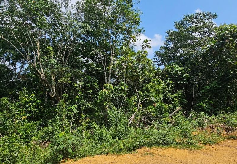 6.005896 acres abandoned land at Tg Tualang ,Perak