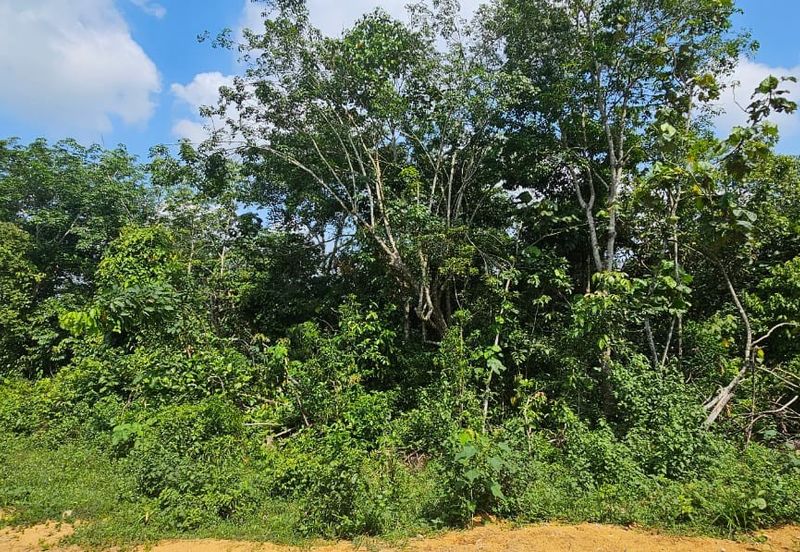 6.005896 acres abandoned land at Tg Tualang ,Perak