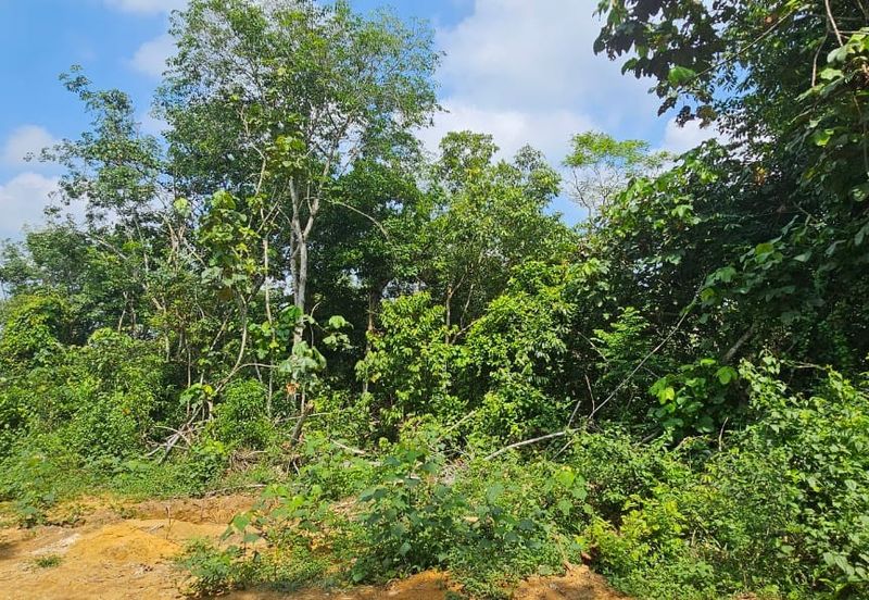 6.005896 acres abandoned land at Tg Tualang ,Perak