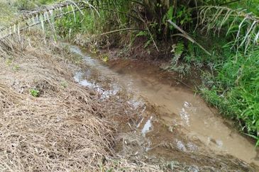 5.925093 acres Palm Oil Land at Chenderiang, Tapah Perak