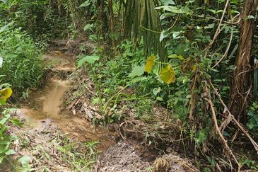 5.925093 acres Palm Oil Land at Chenderiang, Tapah Perak