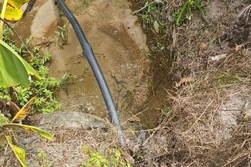 5.925093 acres Palm Oil Land at Chenderiang, Tapah Perak