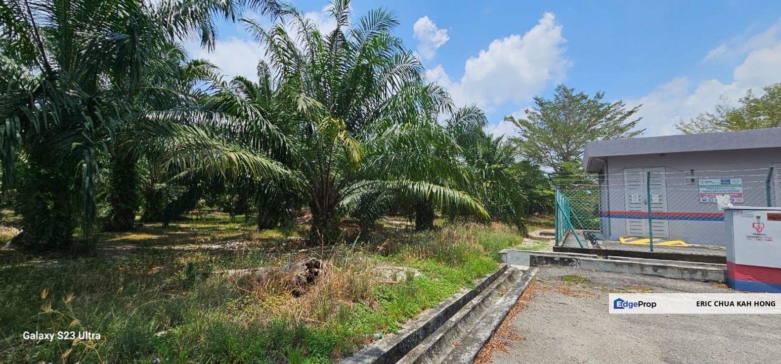 7.07 acres Palm oil land at Sitiawan, Perak, Perak, Manjung