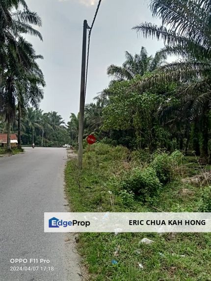 19.612507 acres First lot palm oil land at Air kuning, Perak, Perak, Kampar