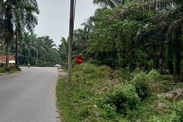 19.612507 acres First lot palm oil land at Air kuning, Perak